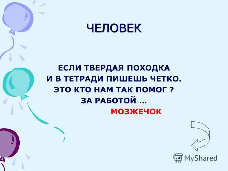 боксеры с твердою походкой не моют пол зубной щеткой. характер по походке. характеристика походки человека. твердая походка манера ходить кроссворд. твердая походка.