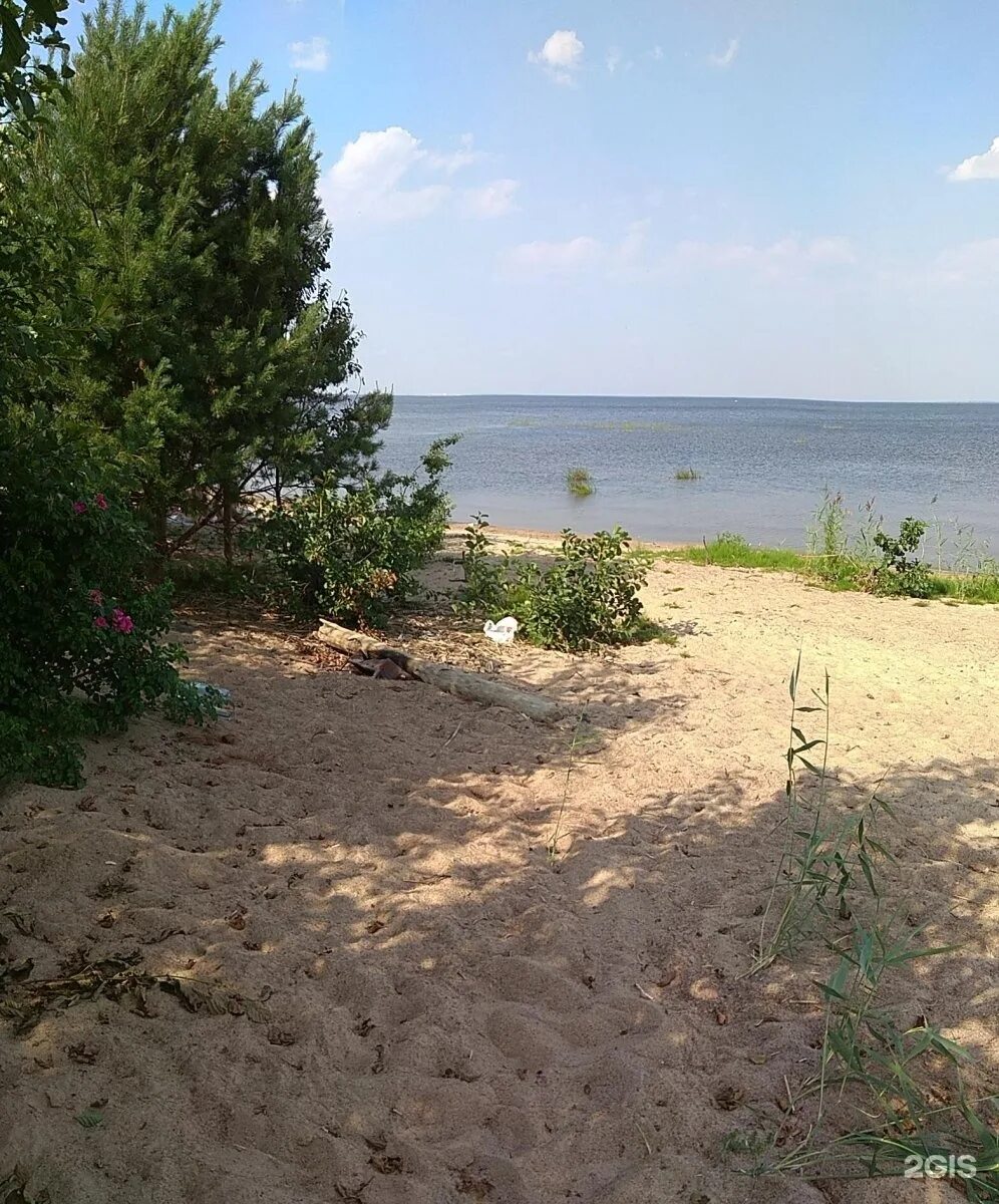 Погода в большой ижоре. Пляж большая Ижора финский залив. Большая Ижора Ломоносовский район пляж. Поселок большая Ижора Ленинградская область. Пляж большая Ижора СПБ.