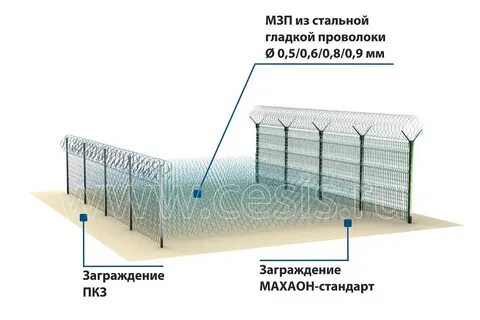 Мзп 2024