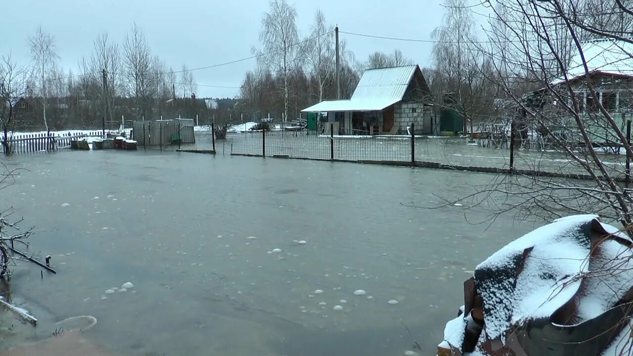 Паводок в беларуси 2024. Паводок. Наводнение в Мозыре. Беларусь паводки. Уровень паводка в Мозыре.