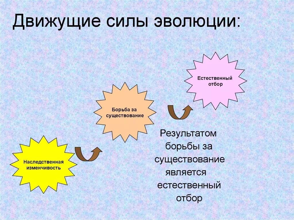 Движущие силы воды. Движущие силы эволюции борьба за существование. Три движущие силы эволюции по Дарвину. Движущие силы естественного отбора. Движущие факторы эволюции.