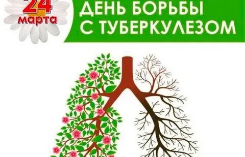 Легкого 24