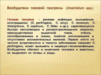Газовая инфекция