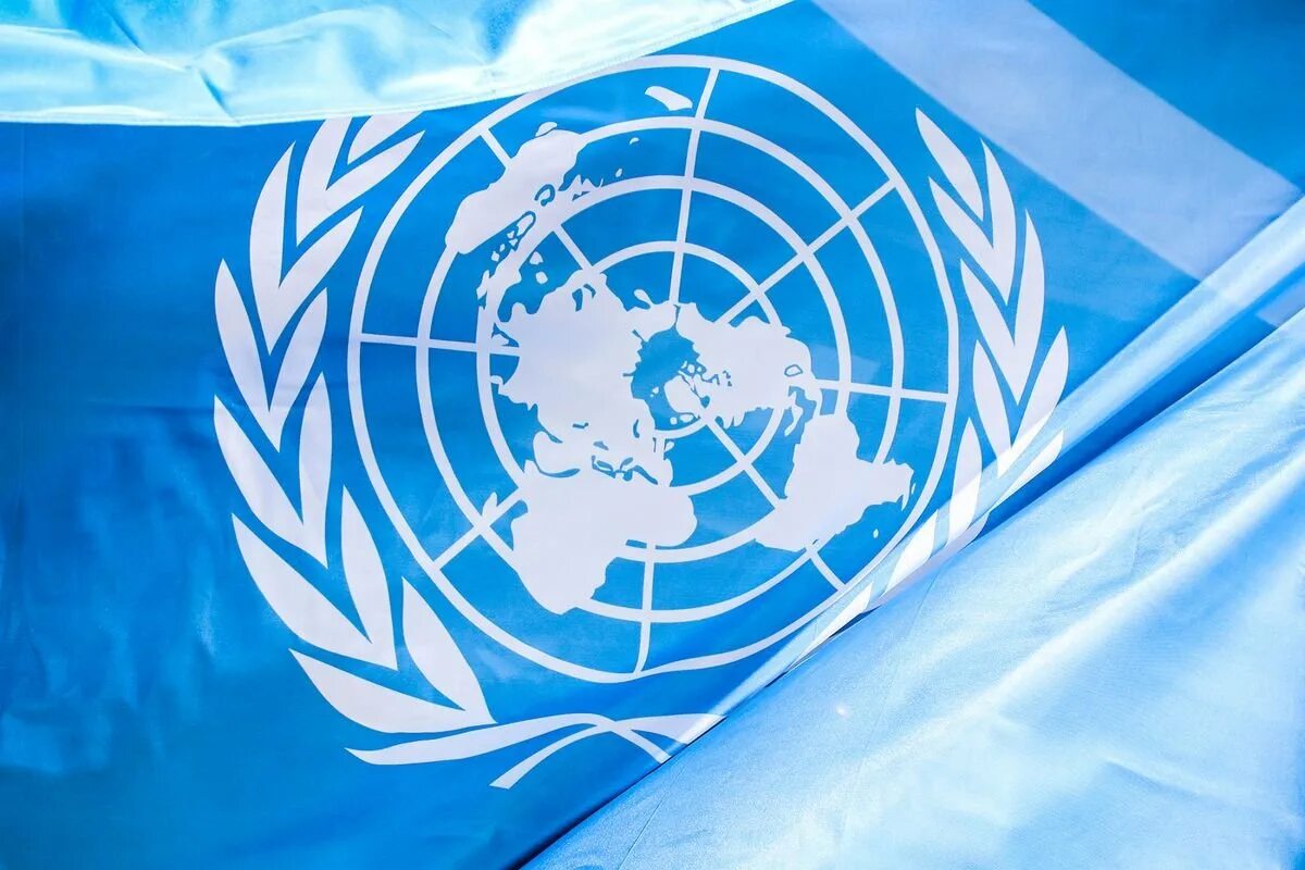 Организация Объединенных наций (ООН). ЭКОСОС ООН. Международные организации ООН. Генеральная Ассамблея ООН флаг.