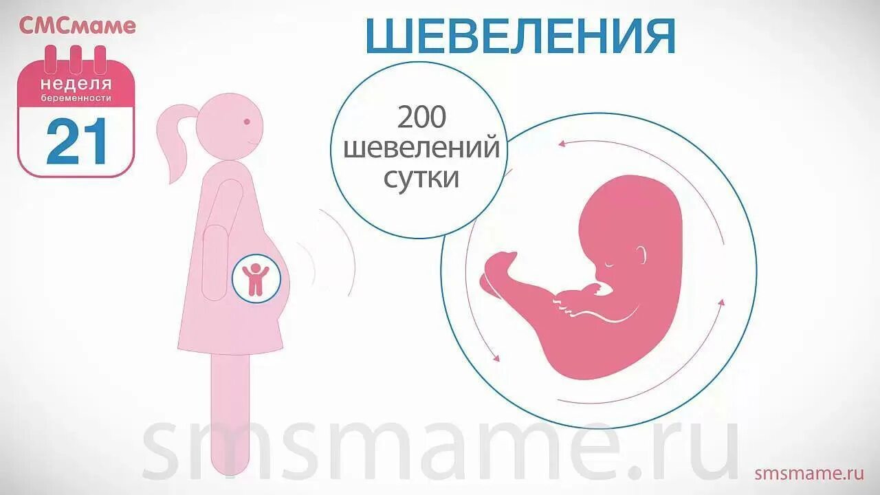 22 недели что происходит с малышом. 21неделья беременности. Ребенок на 21 неделе беременности. Малыш на 21 неделе беременности.