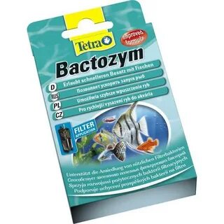 Tetra bacteria