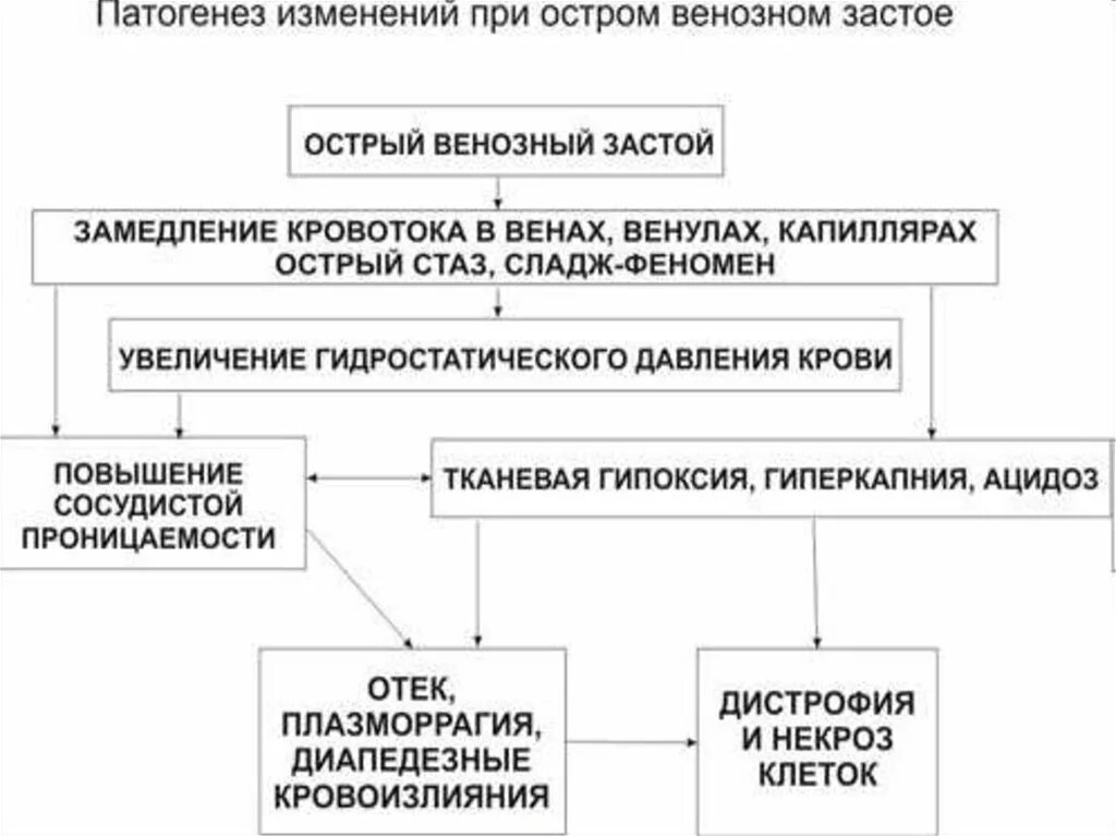 Венозный застой лечение. Острое венозное полнокровие патогенез. Патогенез венозной гиперемии схема. Механизмы развития артериальной гиперемии. Патогенез острой венозной гиперемии.