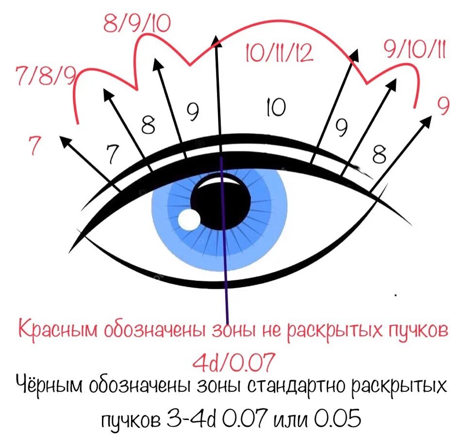 Эффект американка наращивание ресниц схема. Натуральный эффект наращивания ресниц 2d схема. Схема наращивания ресниц американка 15 мм. Как подобрать эффект наращивания