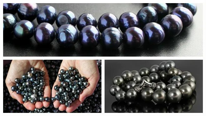 Жемчуг в ракушке. Сила жемчуга. Пресноводный жемчуг. Жемчуг натуральный морской. Сила жемчуга.