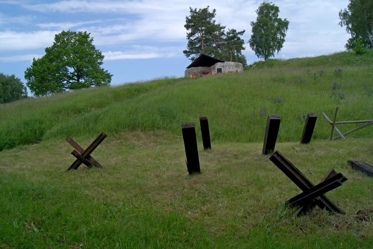 поля типк. природа скошенное поле. поле гомель. «поле васильков». поле гомель.