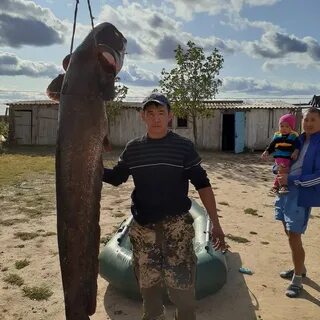 төрт тағандап тұрған жалаңаш қыздар