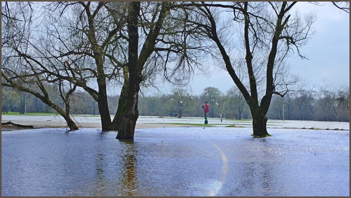 в стенах березы града на десне прохладно