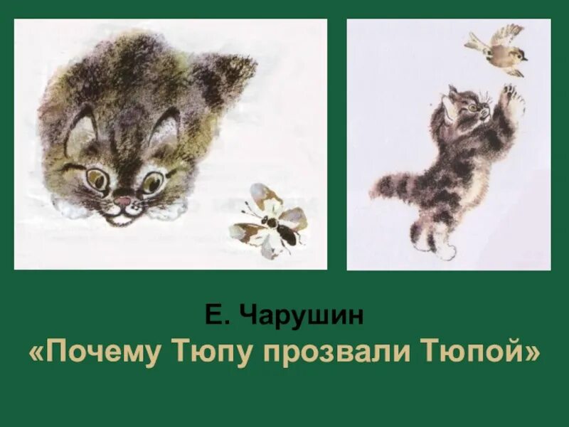 Почему тюпу прозвали тюпой. Е чарушин почему тюпу прозвали тюпой. котенок тюпа чарушин. чарушин иллюстрации. почему тюпу прозвали тюпой картина.
