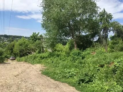 Снт совхоз