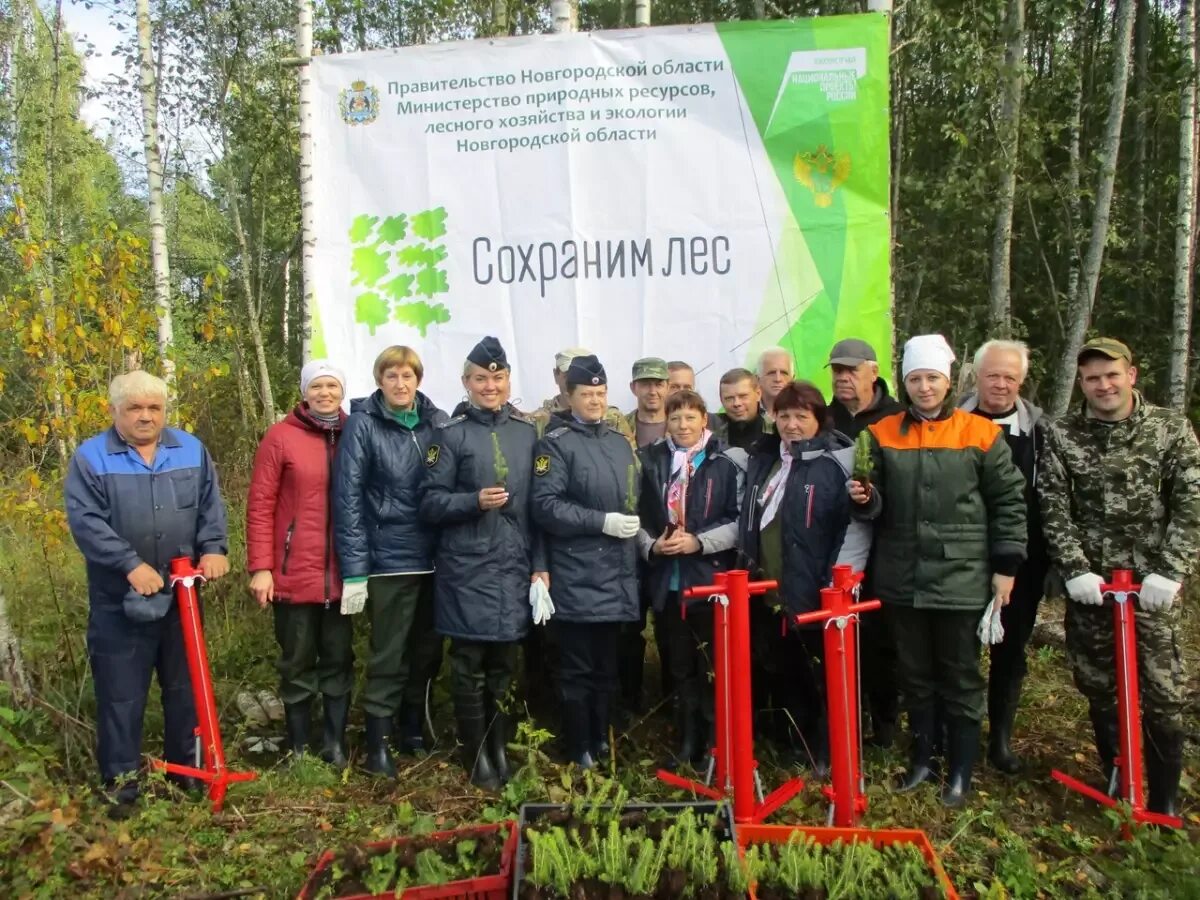 Высадили участника сво. Акция сохраним лес. Всероссийская осенняя акция сохраним лес. Сохранение лесов. Директор Парфиского лесничество.