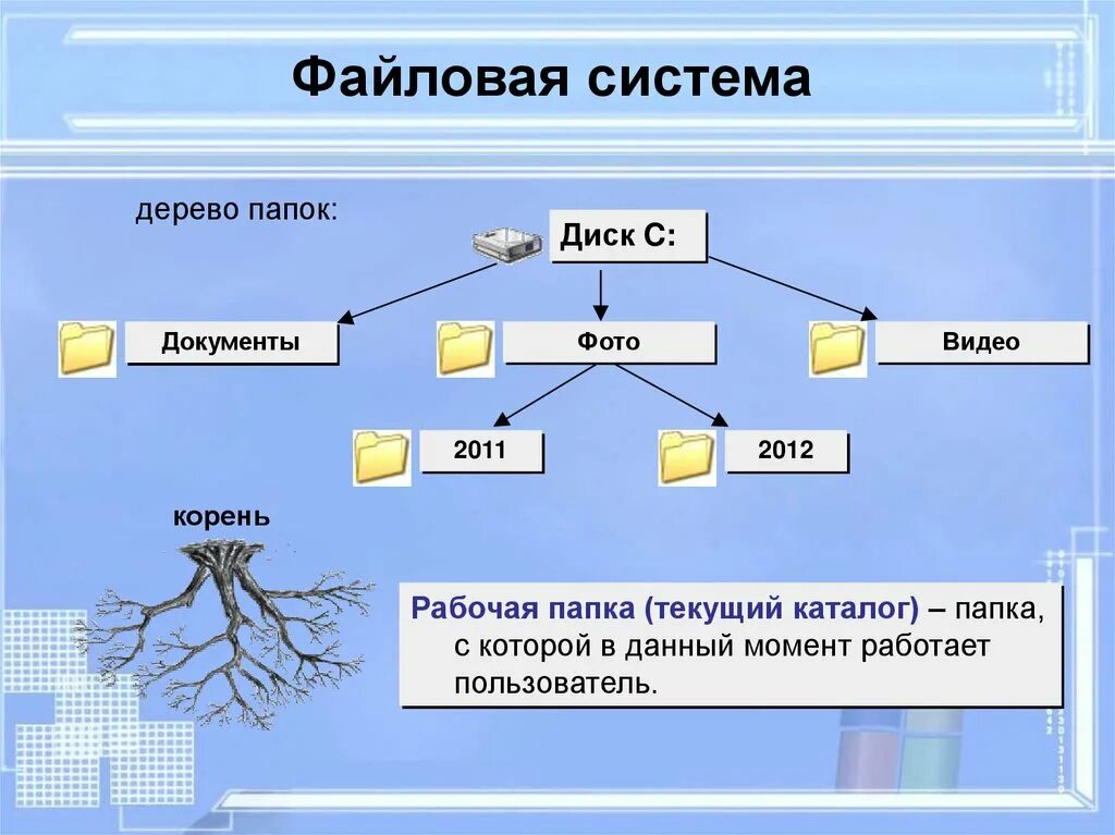 Дерево 5 класс информатика. Дерево папок. Схема файловой структуры. Дерево файловой структуры. Дерево файлов и каталогов.