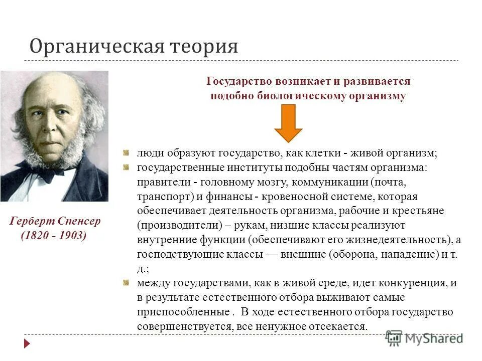 Теория органического развития. Герберт Спенсер органическая теория. Герберт Спенсер органическая теория кратко. Суть органической теории Герберта Спенсера. Органическая теория государства Спенсер.