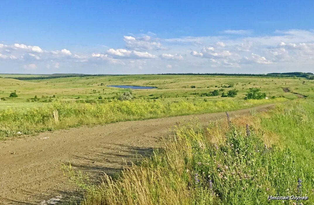 Прогноз погоды ростовской области чертковский район. Чертковский район. Ростовская область Чертковский район село Ольховчик природа. Чертковский район природа. Село Ольховчик Чертковский район.