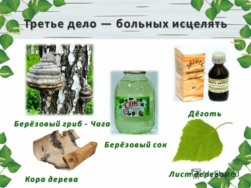 Использование березы. Что делают из березы. Что делают из берёзы картинки. Чем полезна береза для человека. Что делают из березы.