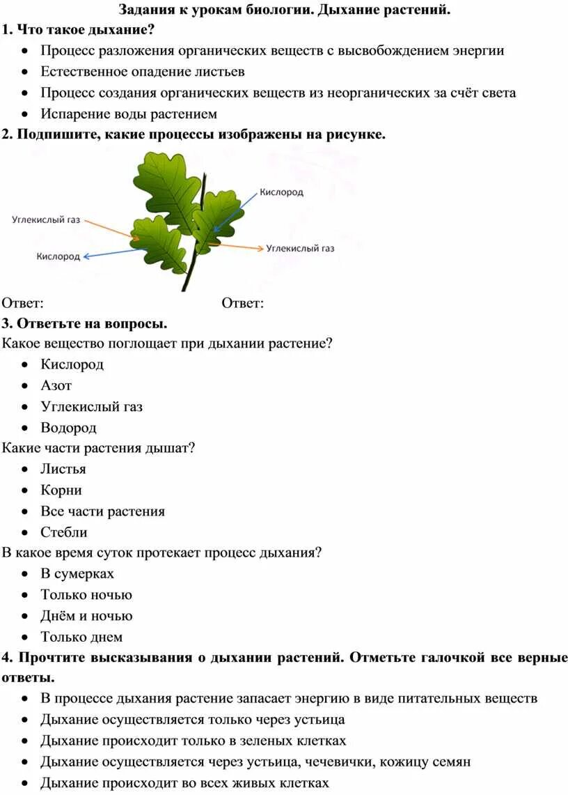 Дыхание растений самостоятельная работа