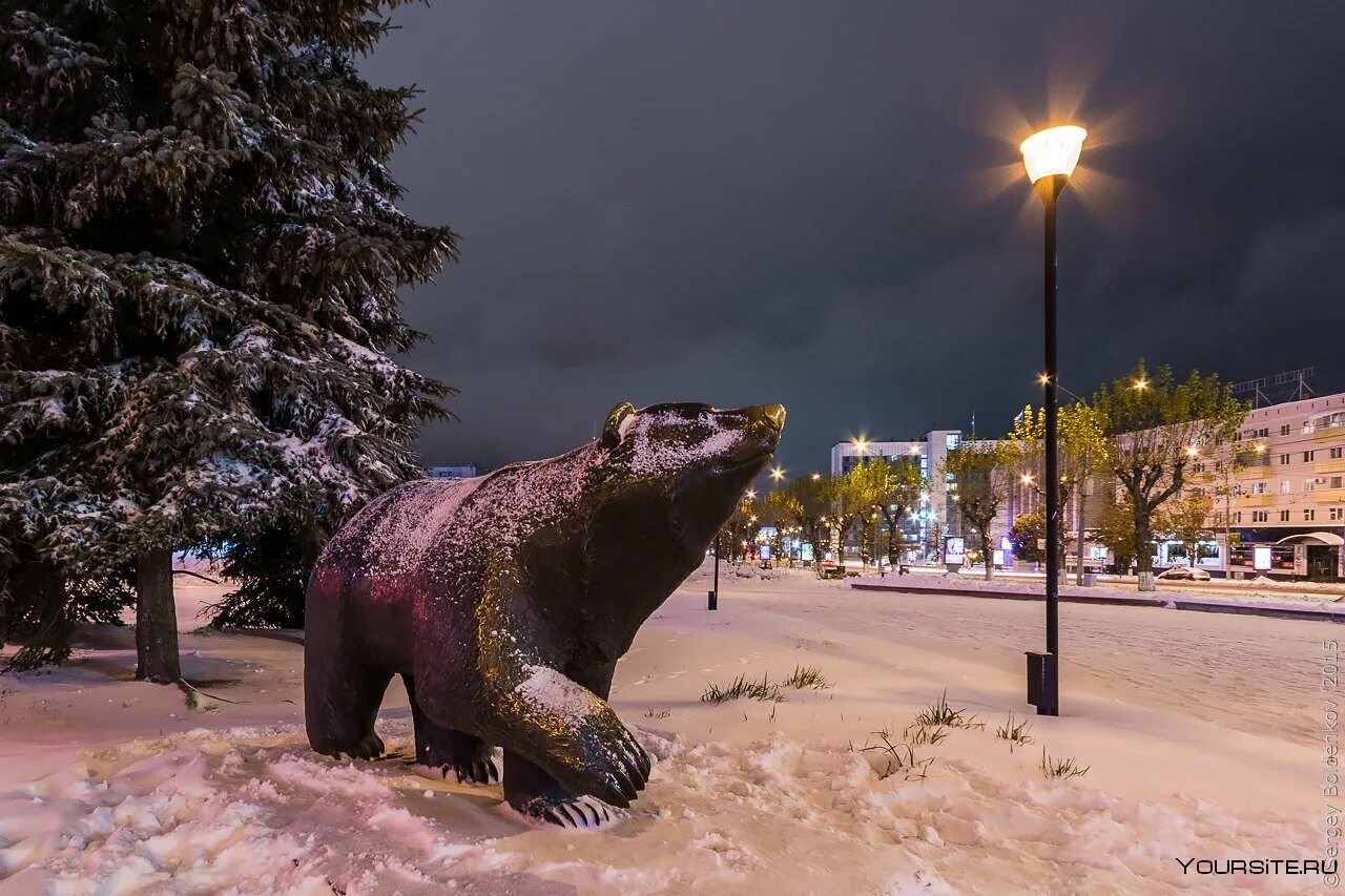 Город пермь сегодня. Город пермь. пермский край город пермь. памятник медведю в перми зимой. городской округ город пермь.