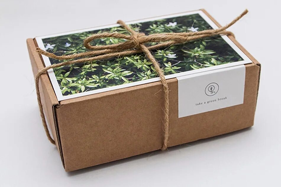 Сколько семян в упаковке. Коробочка с семенами. Дизайнерские упаковки для семян. Коробки для семян. Упаковка семян в пакетики.