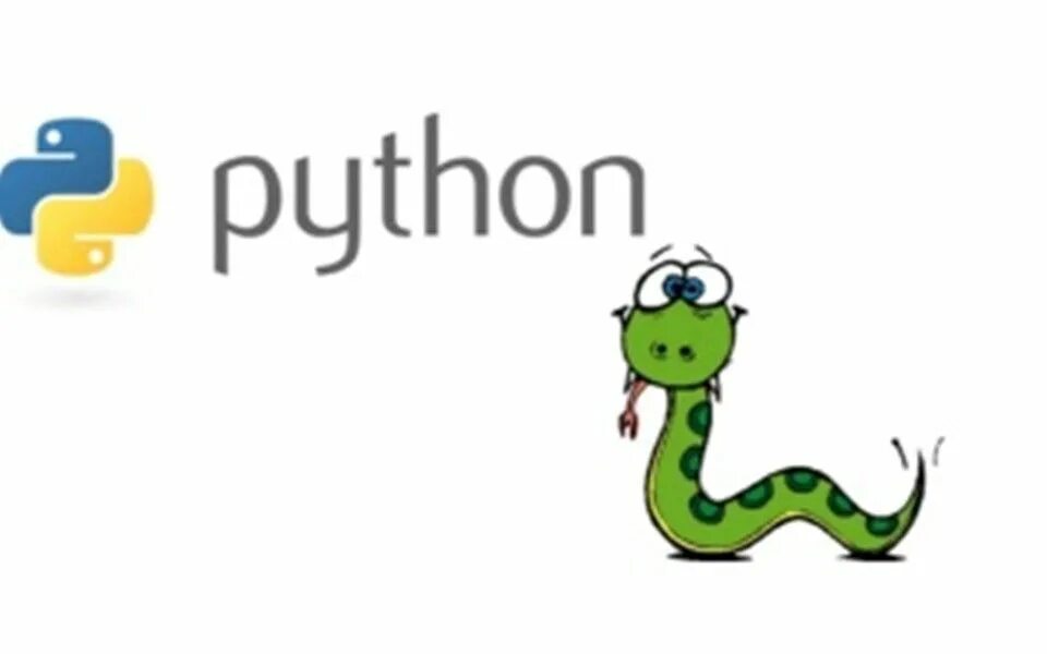 Питон программирование. Python картинки. Язык программирования Python. Питон язык программирования логотип. Питон ньютон