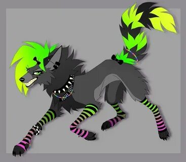 Тик ток wolf