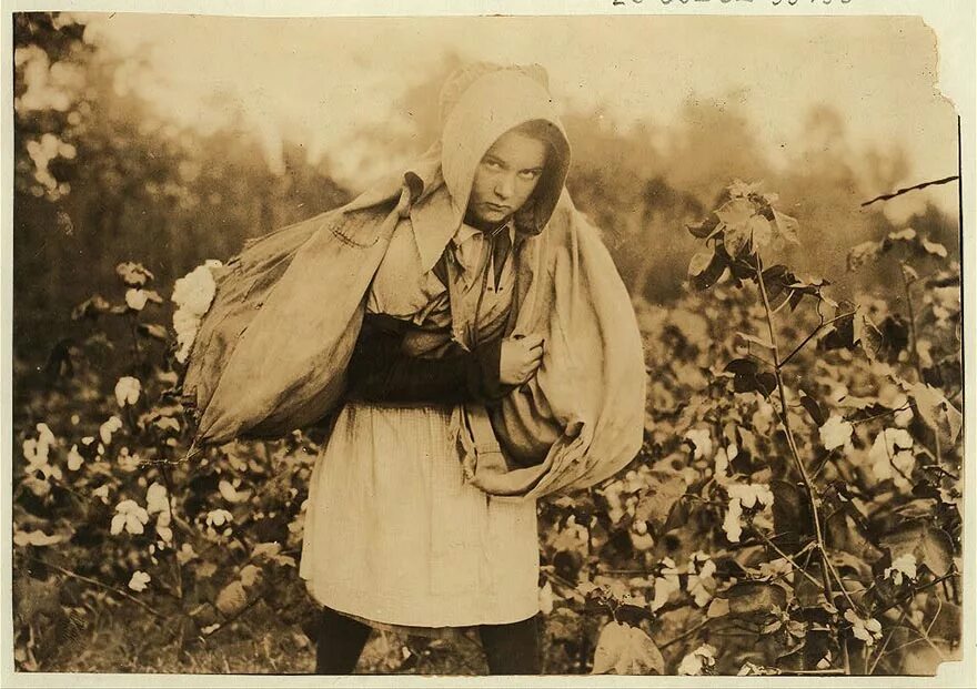 Льюис Хайн детский труд. Льюис Хайн фотограф труд детей. Девочка с фабрики хлопка, Льюис Хайн. 1908 Год. Льюис Хайн американский фотограф детский труд. Жизнь в 20 30 годы прошлого столетия