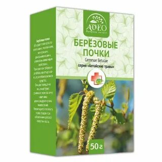 Настойка почки березы