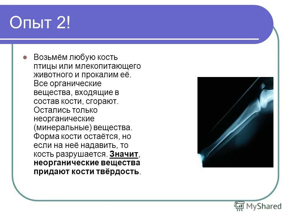 при какой температуре сгорают кости. при какой температуре сгорают кости. температура горения пламени. таблица температуры горения древесины различных пород. при какой температуре сгорают кости.