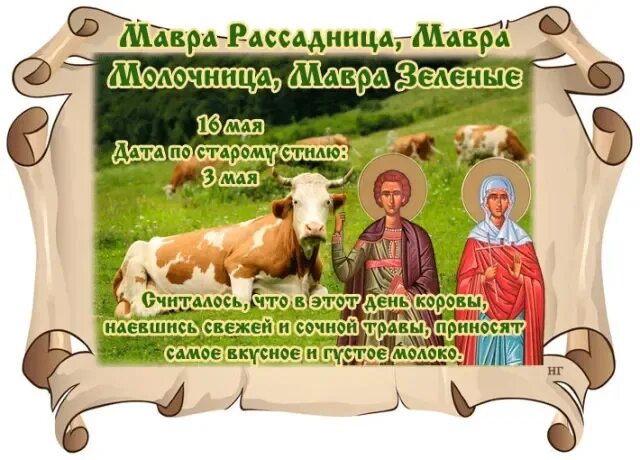 16 мая даты. Мавра рассадница. в народном календаре мавра рассадница. мавра рассадница 16 мая. мавра рассадница, мавра молочница, мавра зеленые щи.