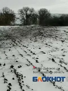 Погода в дубовом на 10 дней