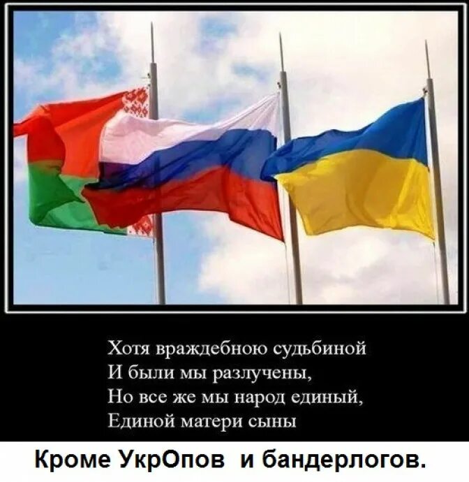 Россия Украина Беларусь. Россия Украина Беларусь вместе. Братские народы. Россия и Украина братья. Украина братский народ