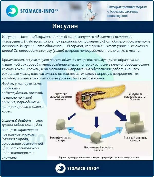 Пересадка поджелудочной при диабете. Гормон поджелудочной железы инсулин снижает уровень сахара в крови. Поджелудочная железа инсулин сахар. Инсулин снижает уровень сахара в крови. Уровни Глюкозы и инсулина.