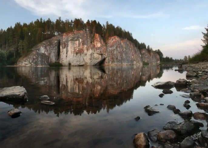 10 интересных фактов о птицах Наука I Факты I Не теория заговора Дзен