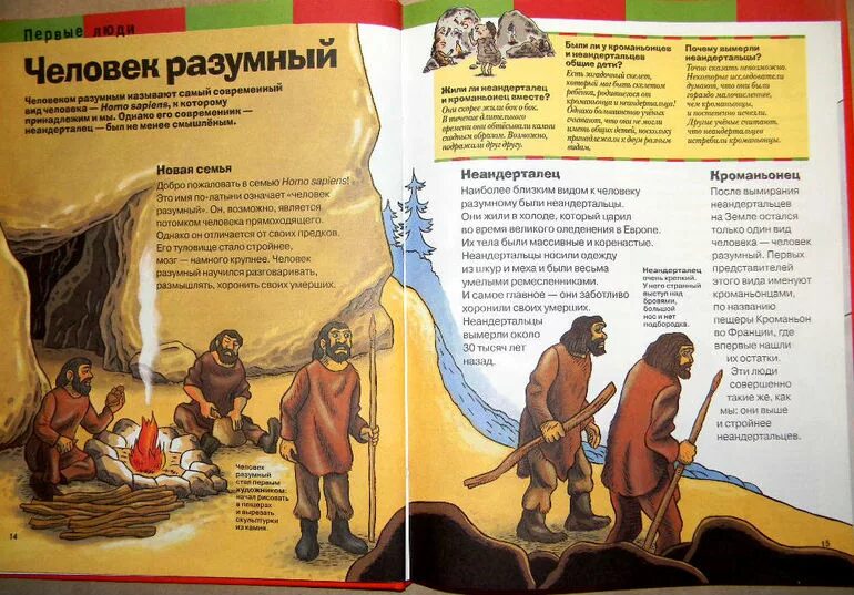 Попаданцы в каменный век. Читать книгу про каменный век. Сергей щепетов каменный век. Читать книгу про каменный век. Сергей щепетов каменный век.