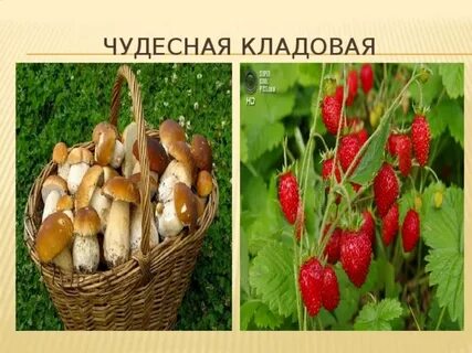Кладовая привет