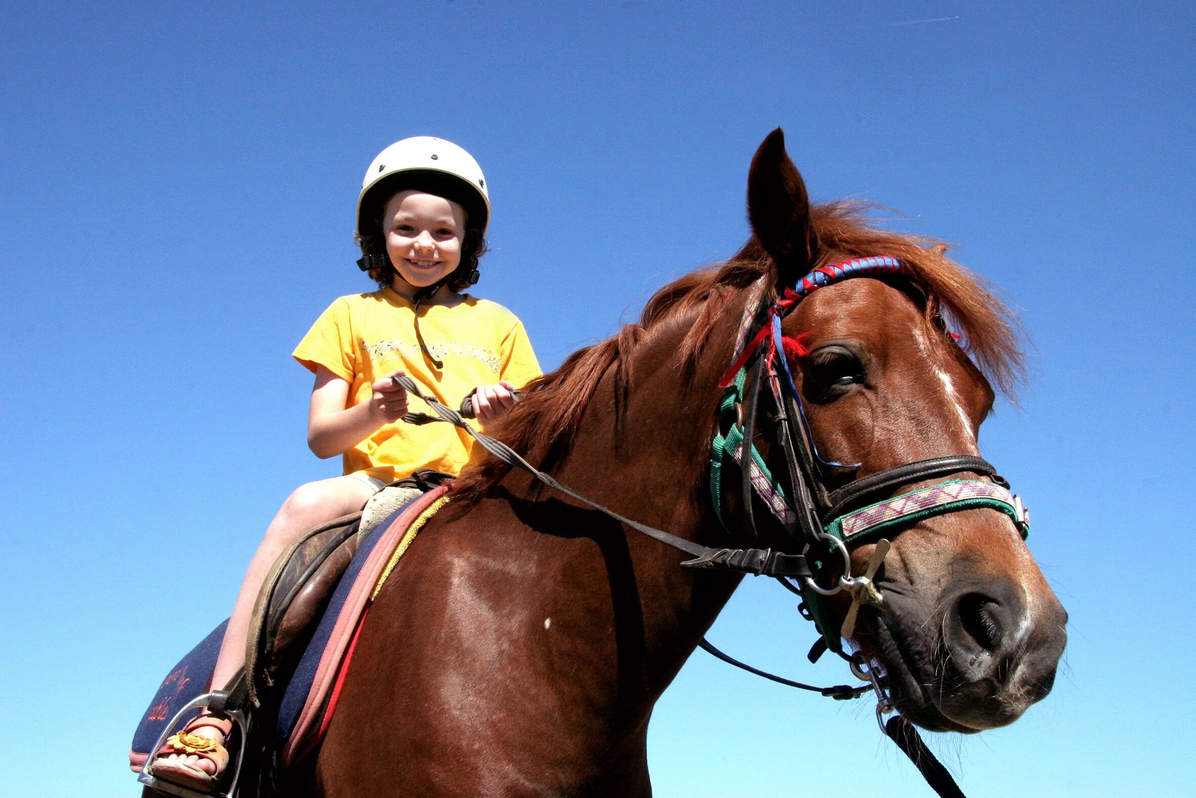 Horse kids. Хорс райдинг. Дети катаются на лошадях. Лошадь для детей. Катание на лошадях.