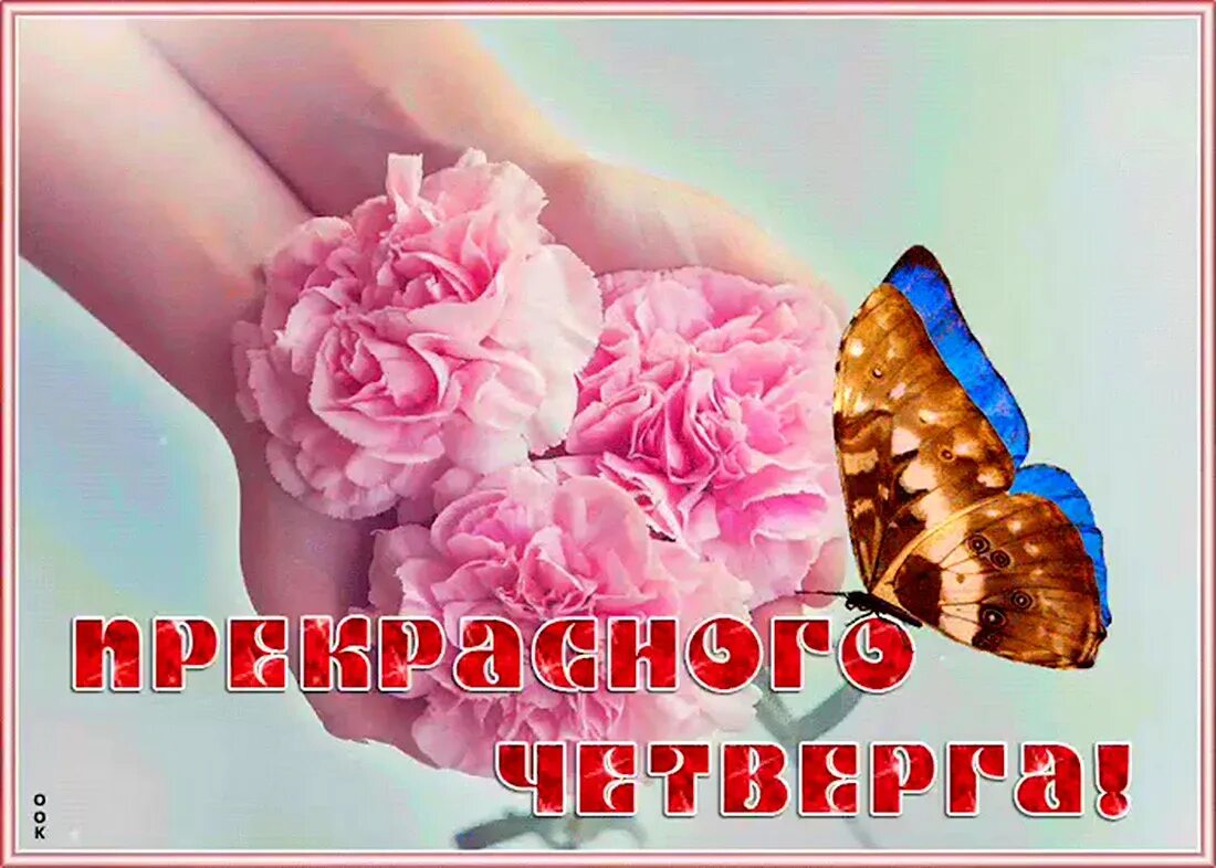 Доброе утро и отличного четверга. Открытки удачного четверга. хорошего четверга и отличного настроения. открытки прекрасного четверга. прекрасный день.