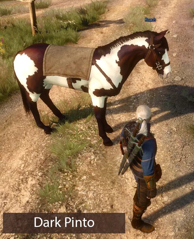 Ведьмак плотва снаряжение. Плотва ведьмак. witcher 3 плотва. плотва ведьмак 3. плотва лошадь ведьмака.