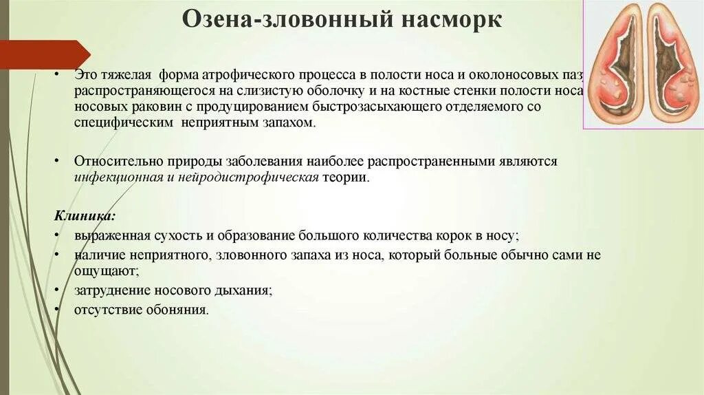 Вазомоторный ринит носовые раковины. Атрофический ринит озена. Зловонный насморк озена. Острый катаральный ринит