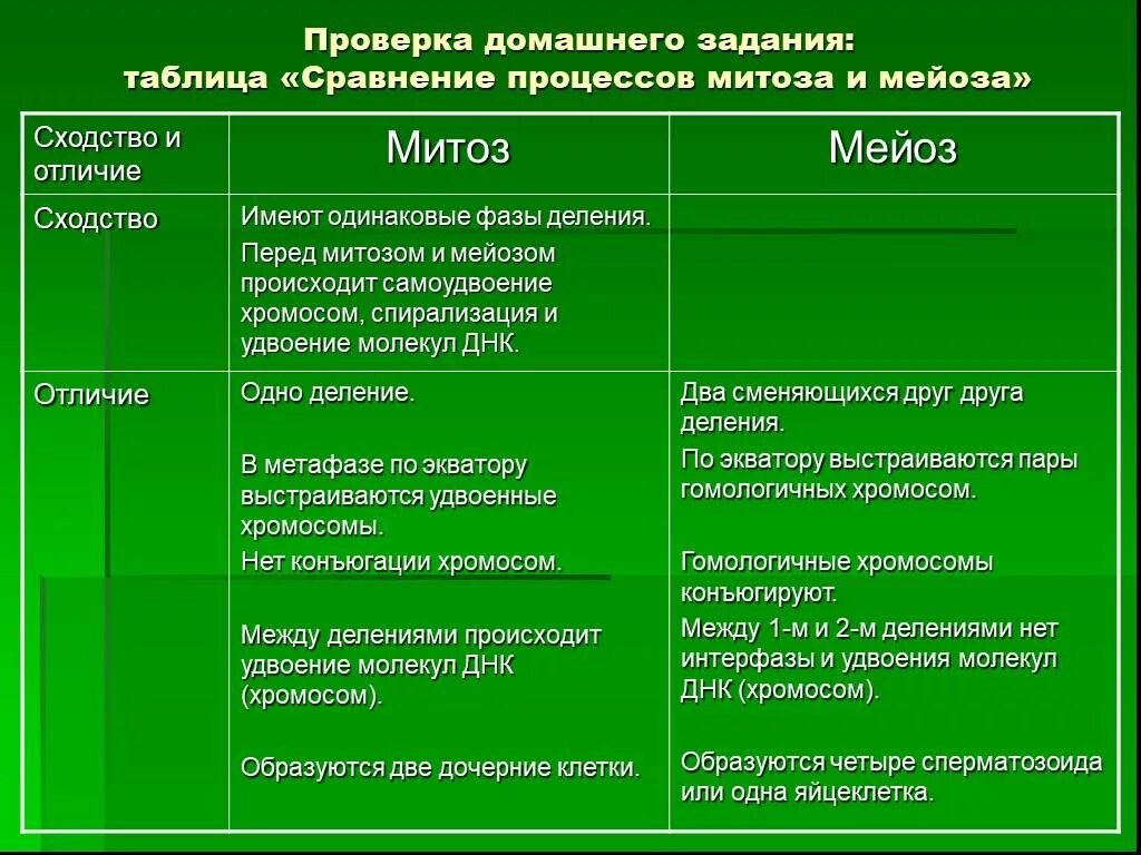 Деление клетки митоз и мейоз таблица. Отличие митоза мейоза таблица отличия. Сходства и различия митоза и мейоза в таблице. Отличия митоза и мейоза таблица. Выбрать характеристики относящиеся к мейозу