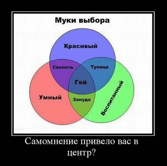 Не выбирай красивую часть. Умные шутки. Муки выбора демотиватор. Умные приколы. Умные демотиваторы.