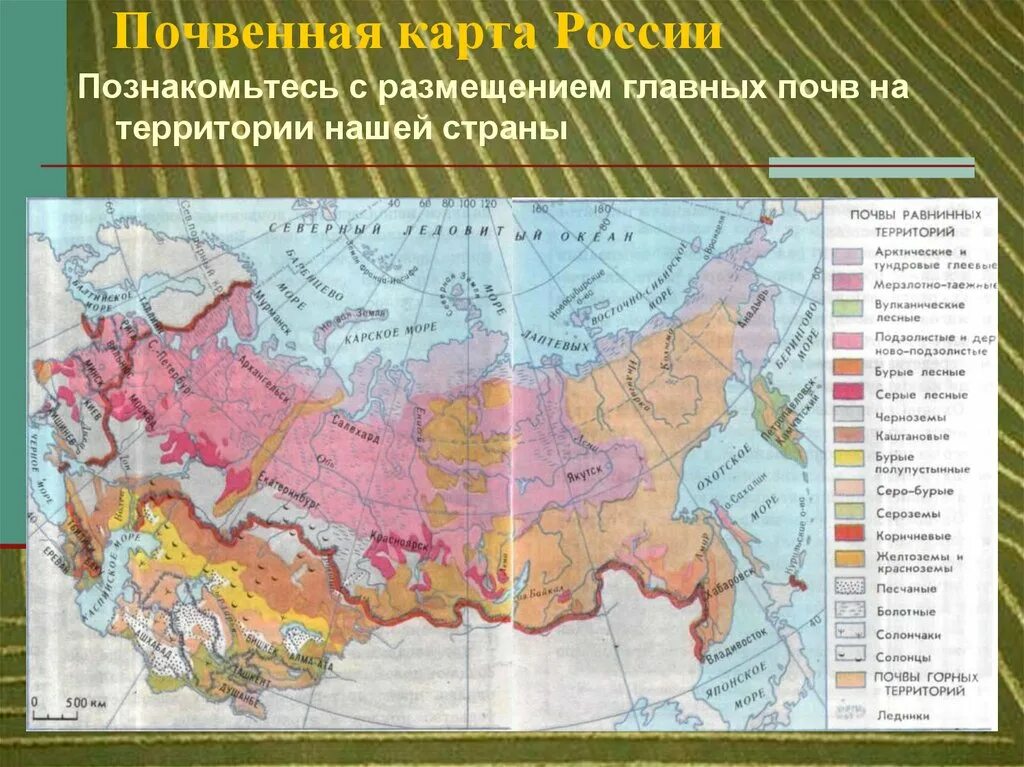 Контурная карта почв россии. Карта плодородия почв России. Типы почв на карте. Типы почв России на карте 8 класс география. Карта плодородности почв России.