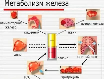Сжатое железо