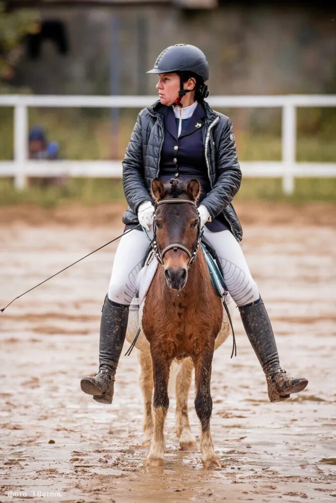 Кск факт. Санкт петербург кск факт. Кск факт. Кск дерби. Rcr ,fcr.