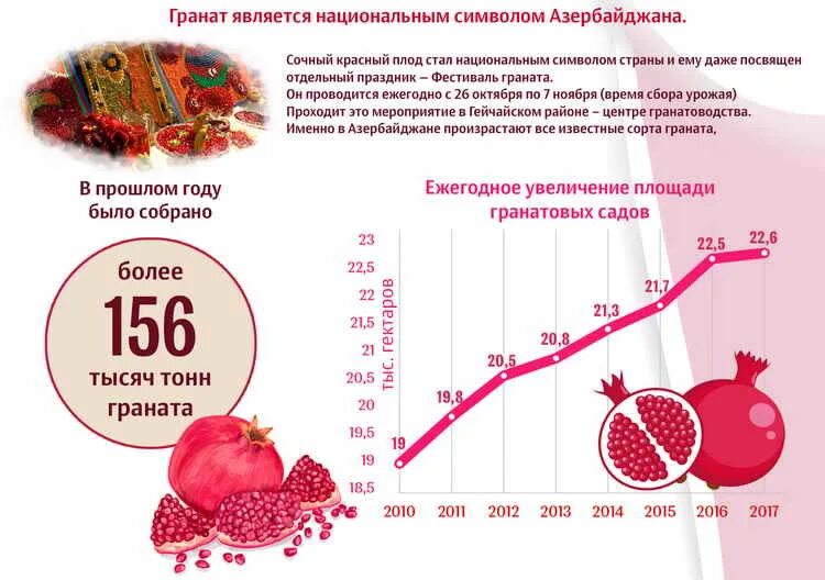 Сколько граната можно. Чем полезен гранат. Полезные свойства граната. Польза граната. Чем полезен гранат для человека.