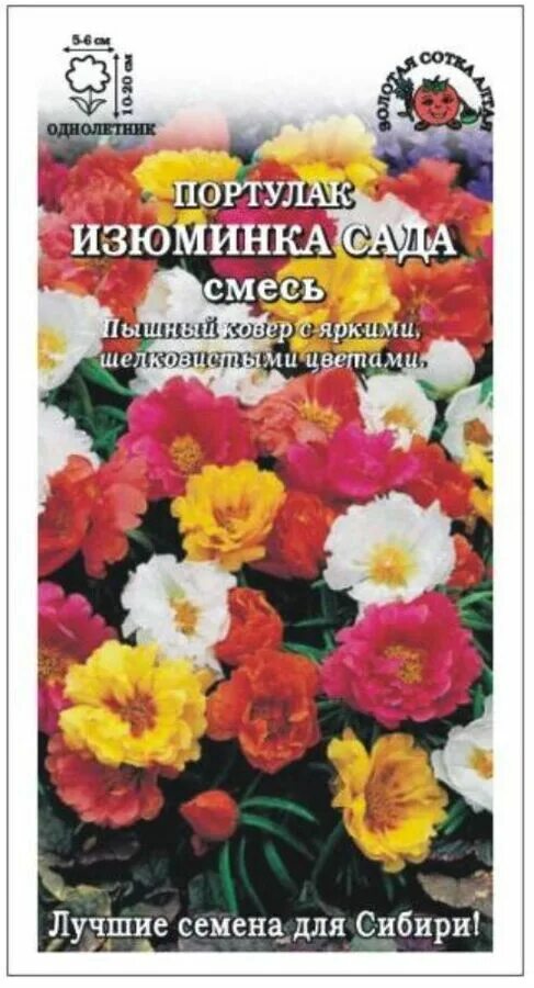Салатная смесь семена. Сад смесь. Благоуханный сад. Маргаритка большой гвоздик смесь. Ароматный сад.
