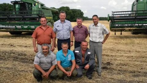 Новая зерновая